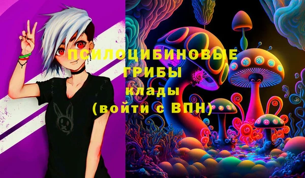 каннабис Алзамай