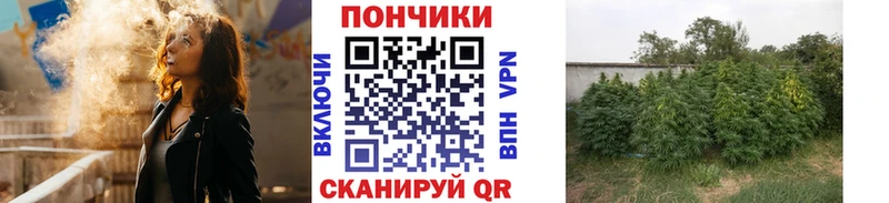 darknet наркотические препараты  Алексеевка  Марихуана семена 